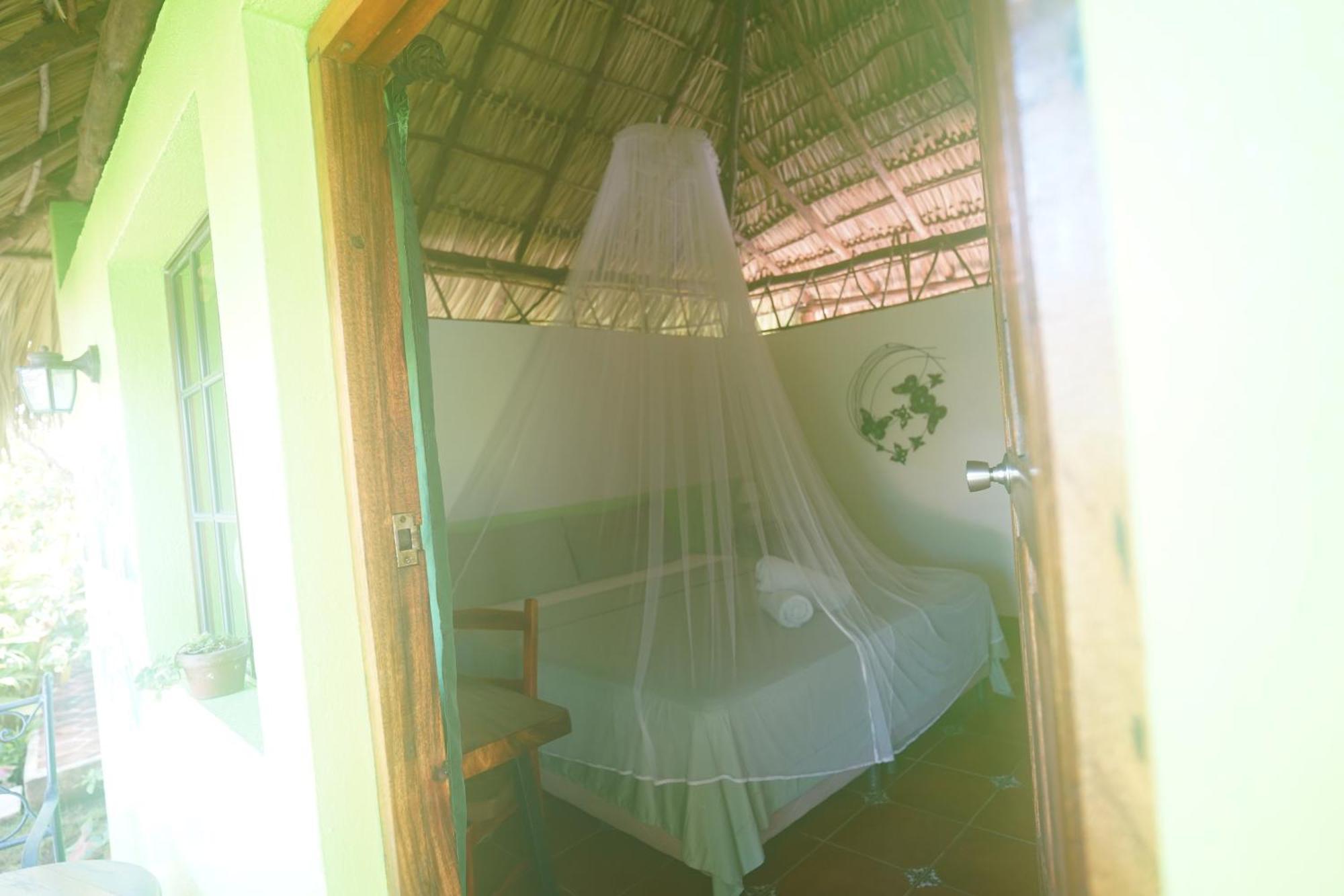 Hotel Mariposa Leon Luaran gambar