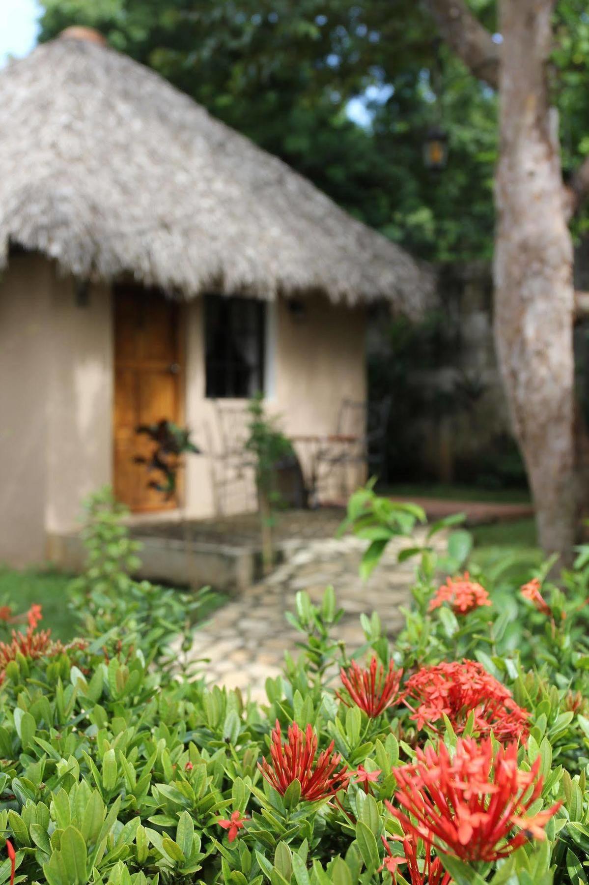 Hotel Mariposa Leon Luaran gambar