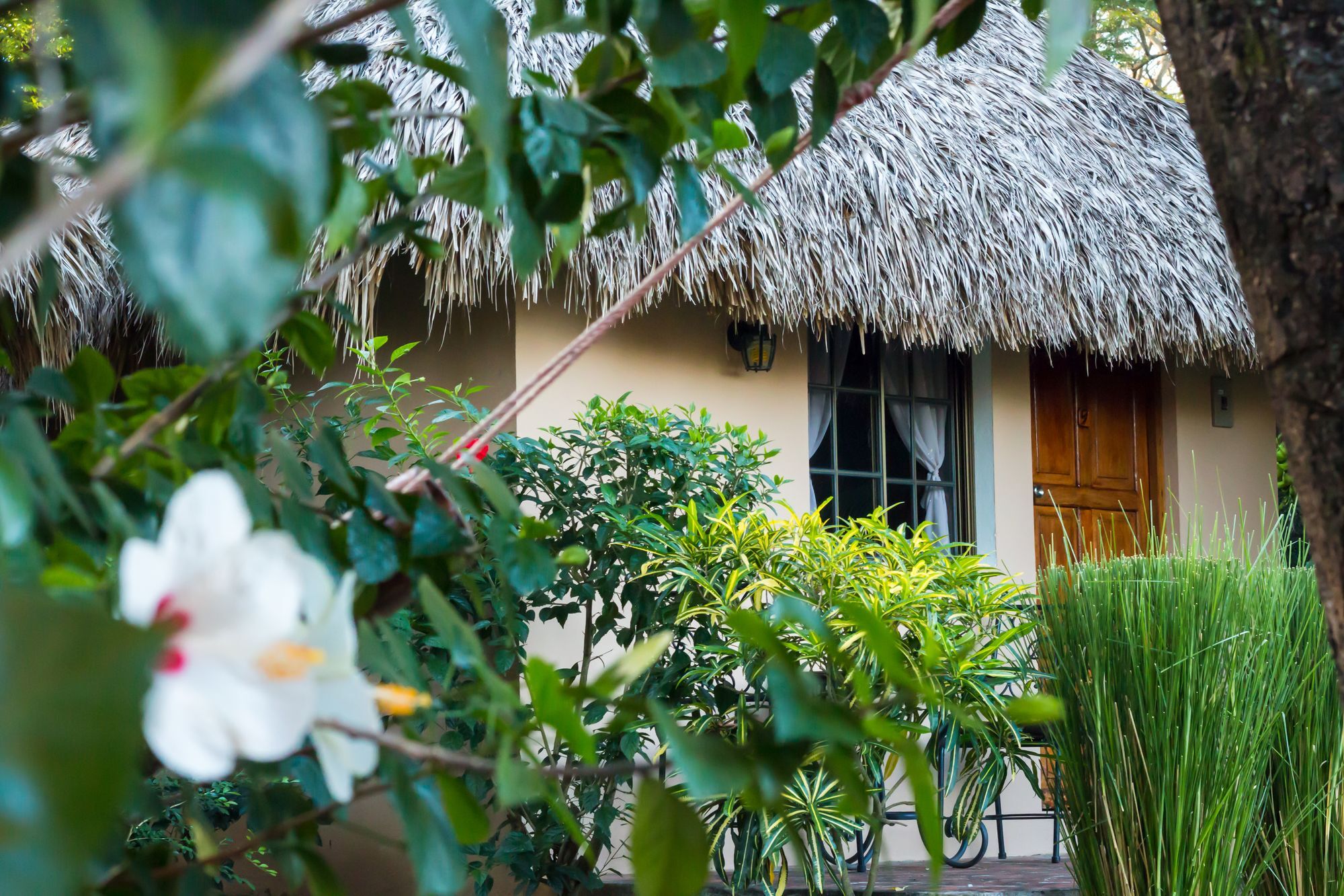 Hotel Mariposa Leon Luaran gambar